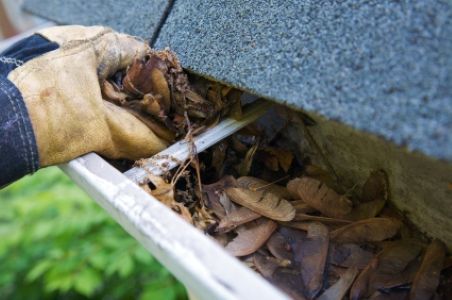How Often Should You Clean Your Gutters to Prevent Damage?