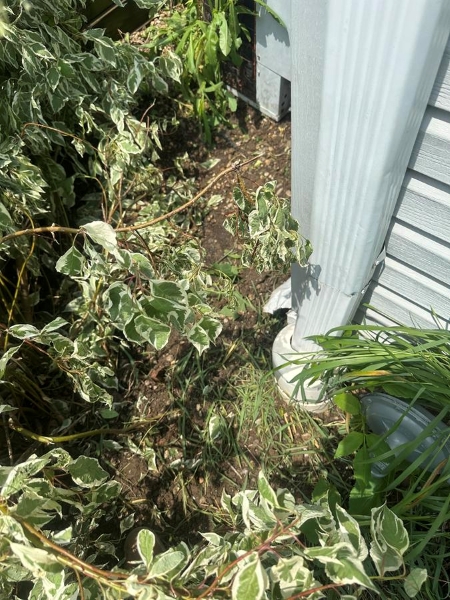 Why Downspout Placement Matters More Than You Think Thumbnail