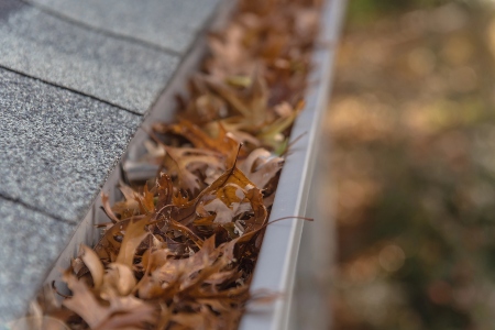 Gutter Cleaning Thumbnail